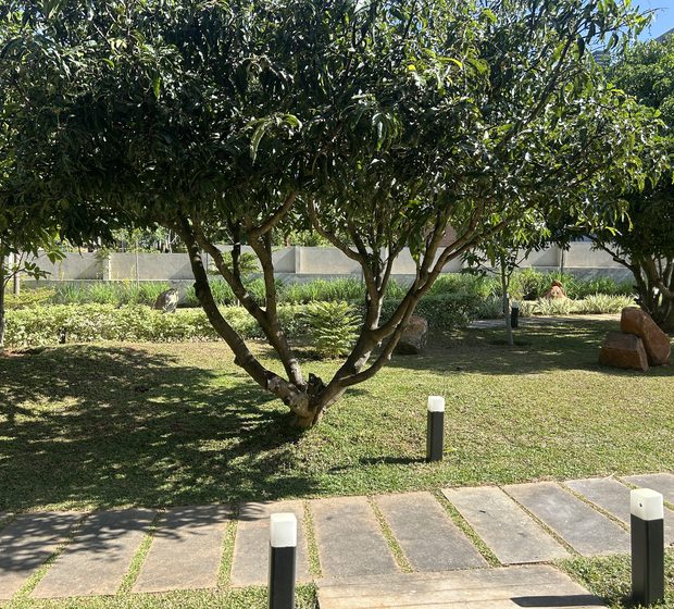 Mango Villa